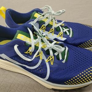 Nike Pegasus Trail 4 Men Size 12.5 Excellent Condition